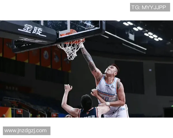 陶汉林：从篮球场上的拼搏者到社会公益的践行者之路探析