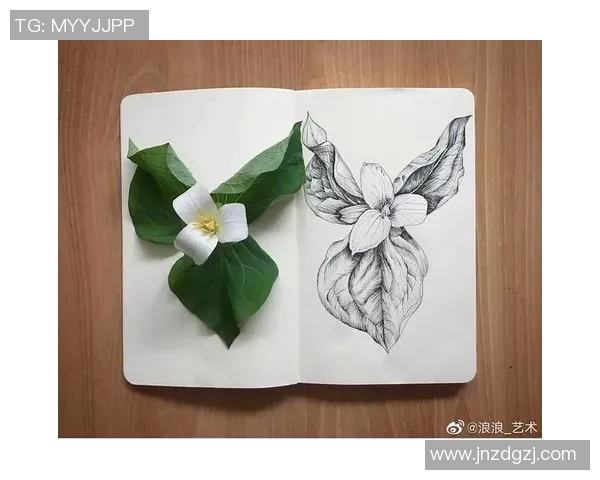 加莱诺的艺术世界探索与创作灵感的源泉分析