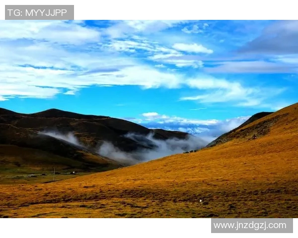 崔永熙的艺术之路与人生哲学探讨：从初心到成就的心灵旅程