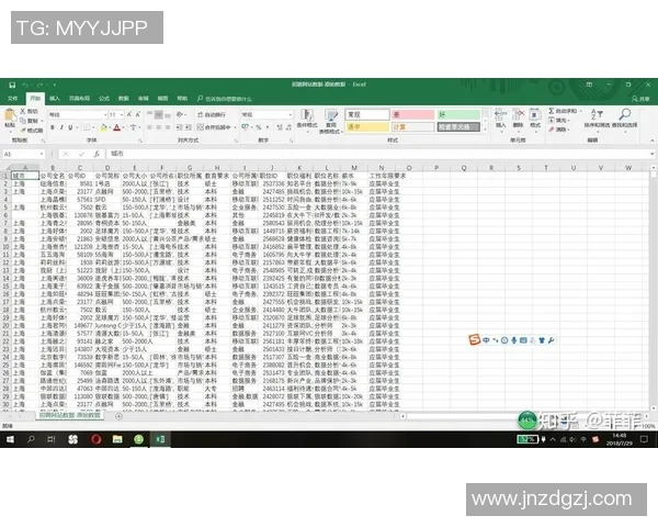 深入探讨杭州排球队比赛经验与表现的影响因素及数据分析结果