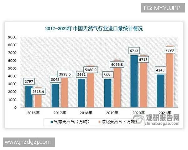 数据分析揭示LNG市场节奏变化及其对未来趋势的影响